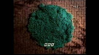 BBC2 Continuity - Friday 15th September 1995