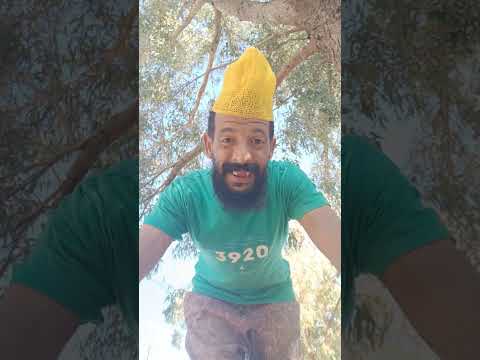 التواضع من شيم الرجال