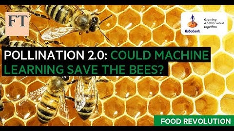 Pollination 2.0: Could machine learning save the bees? | FT Food Revolution