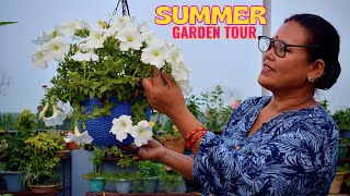 Summer Plants to Grow at Home I Summer Plants and Flower Tour I Nepali Gardening Tips