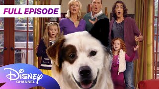 Dog With A Blog First Episode S1 E1 Stan Of The House Disney Channel