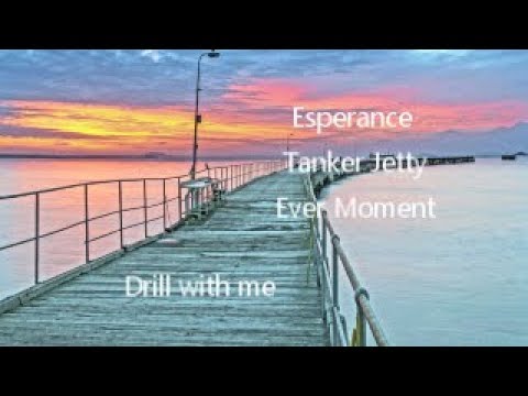 wishbone dog Jetty Drill with me 001