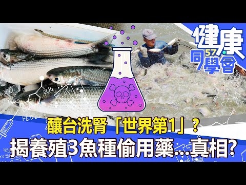 釀台洗腎「世界第1」？揭養殖3魚種偷用藥...真相？【57健康同學會】2022.06.26｜廖慶學 譚敦慈 江守山 王瑞伶 古錐師