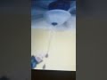 All the old ceiling fans in my house ￼