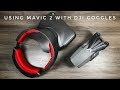 Using DJI Mavic 2 Pro/Zoom With DJI Goggles