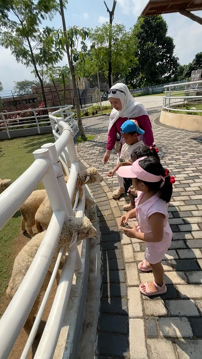 Beri makan domba #dj #remix #dance #kembar #twinmoments #twins #cover #nttpride #trendingshorts