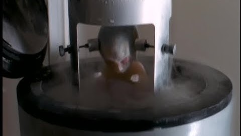 The X-Files 1993 The Erlenmeyer Flask Explained S01E24