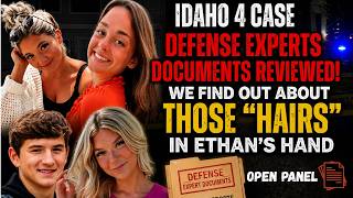 Idaho 4: *BRAND NEW* Expert Witness Documents & These Are NOT What I Expected! #Idaho4Update
