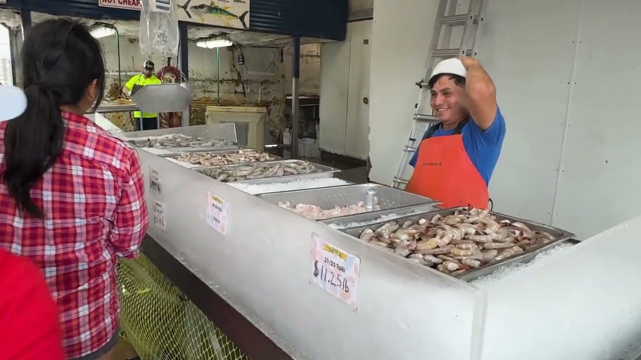A Day in the Life on the Island