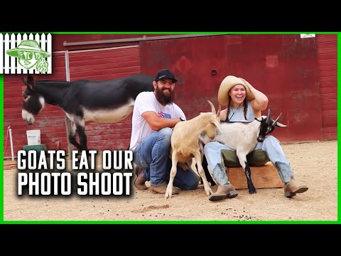 Browsey Acres | Ronda Rousey’s Goats Try to Eat the Photo Shoot