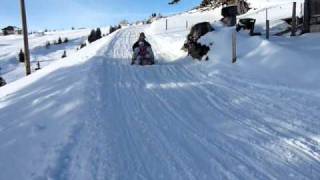 tobogganing Rigi 2010