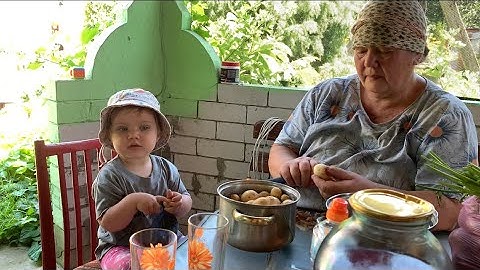 عيشوا كلّ لحظة. نحن في حديقة الخضروات. كيف ننجو من الحرارة في البيت؟ ماذ وجدت أمّي؟ طرد زوجي