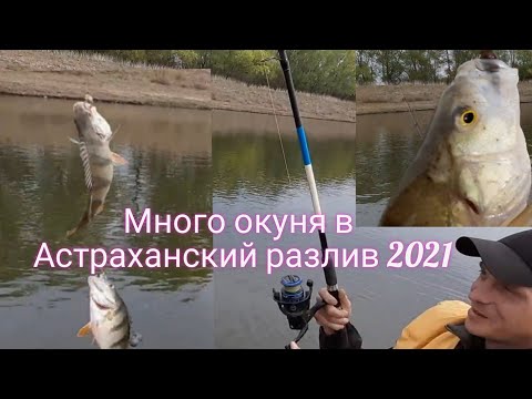 Астрахань заливает в