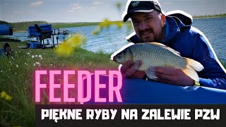 Piękne Ryby na zalewie PZW I feeder