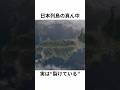 ここ、日本が裂けた跡。