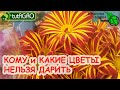 От ЭТИХ ЦВЕТОВ одни НЕСЧАСТЬЯ. Кому НЕЛЬЗЯ дарить цветы? Что же подарить на 8 Марта и 14 февраля?