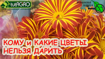 От ЭТИХ ЦВЕТОВ одни ПРОБЛЕМЫ. Кому НЕЛЬЗЯ дарить цветы? Что же подарить на 8 Марта и 14 февраля?