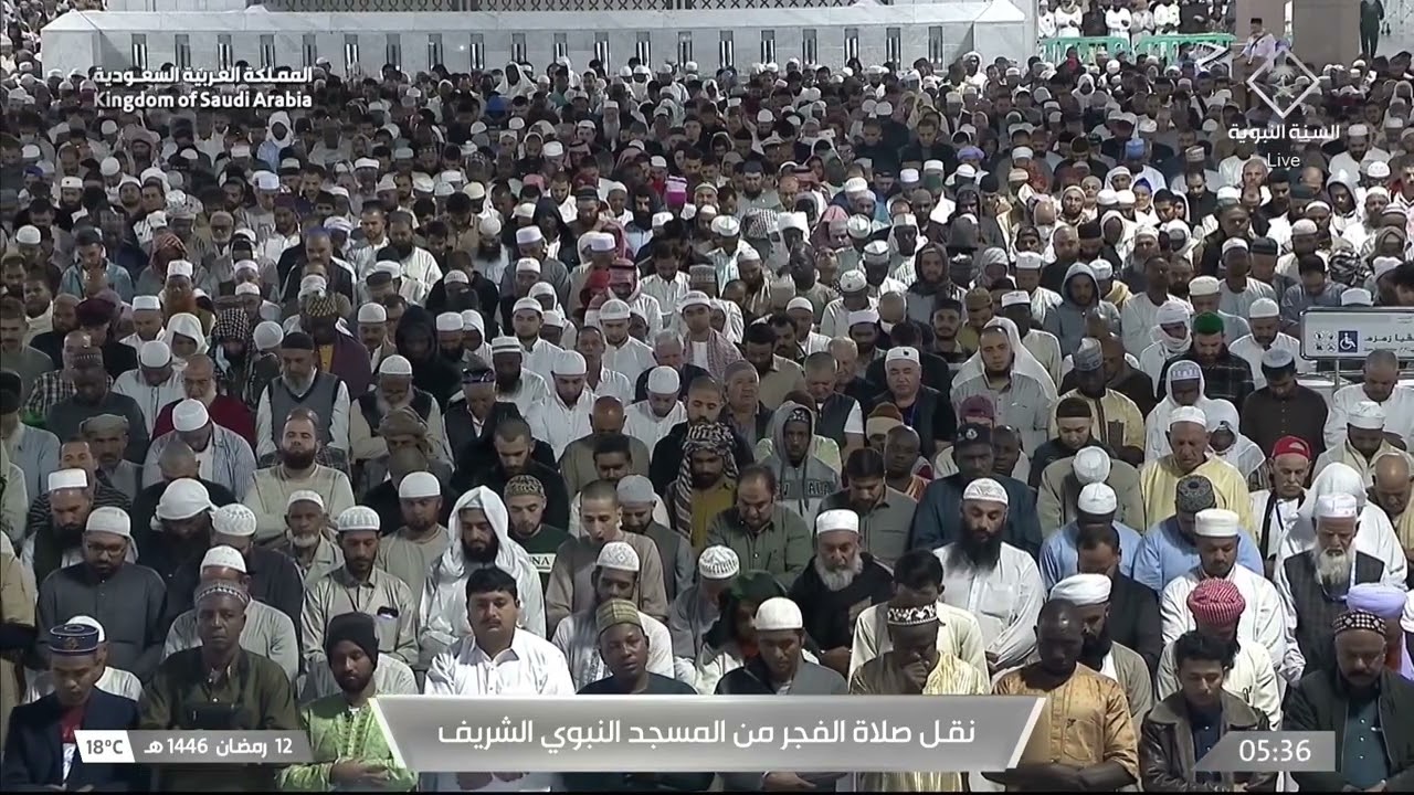 صلاة الفجر للشيخ محمد برهجي 12 رمضان 1446هـ