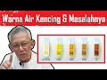 11 WARNA AIR KENCING & Apa Masalahnya? Termasuk yang BERBUIH