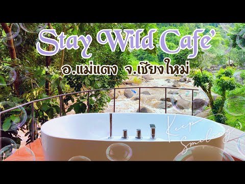 ที่พักอำเภอแม่แตง : จังหวัดเชียงใหม่ : Stay wild & cafe Chiangmai : Stay wild cafe #ที่พักแม่แตง
