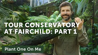 FAIRCHILD Tropical Botanic Garden CONSERVATORY Tour: Part 1 — Ep. 304