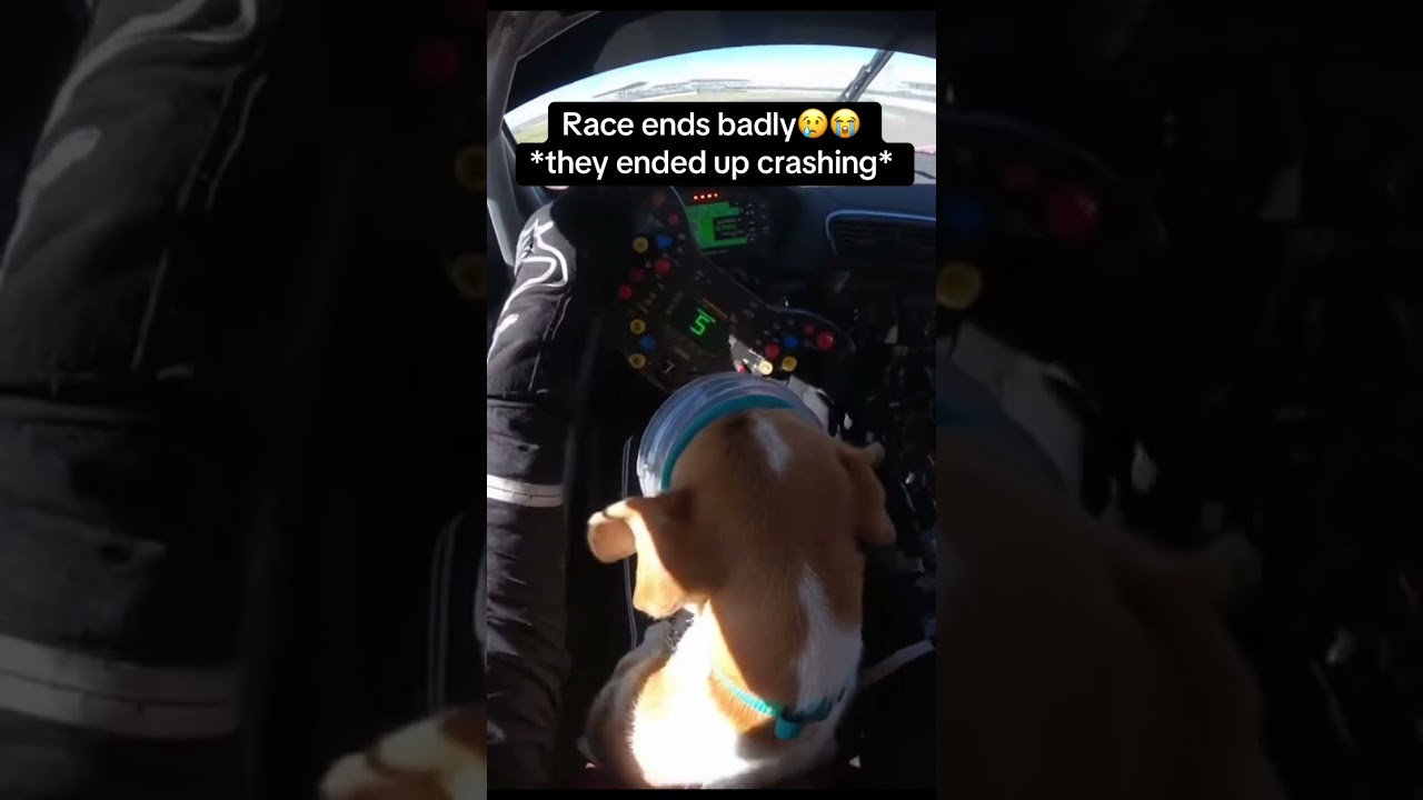 Race ends badly😭😢 