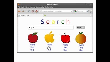 MarcXimiL : near duplicates detection and similarity analysis