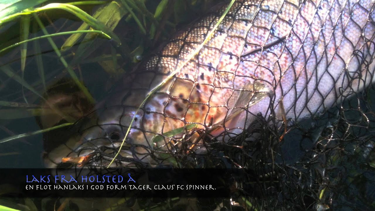 Pool 15 i Sydvestjydsk 2011