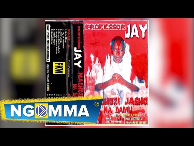 Professor Jay Feat Jay Moe - Tathmini class=