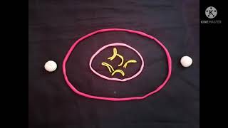 MITOSIS - STOP MOTION VIDEO