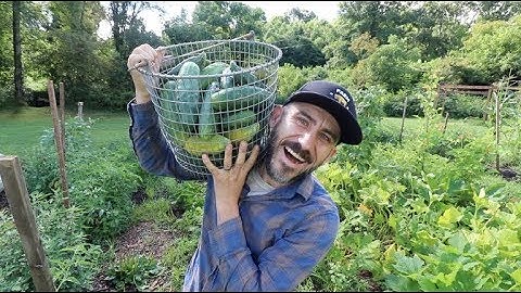One way to Preserve Cucumbers (NOT Pickles!)