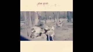 نغمه اغنيه انستقرام اخواني💔😢