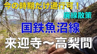 廃線散策10　国鉄魚沼線　来迎寺〜高梨