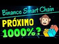 💎 Estrategia Para Encontrar GEMAS Que te Pueden dar un x1000 En Binance Smart Chain 💎