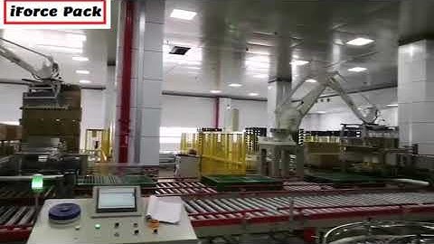 Box case carton robot hand palletizing machine palletizier line palletizing video