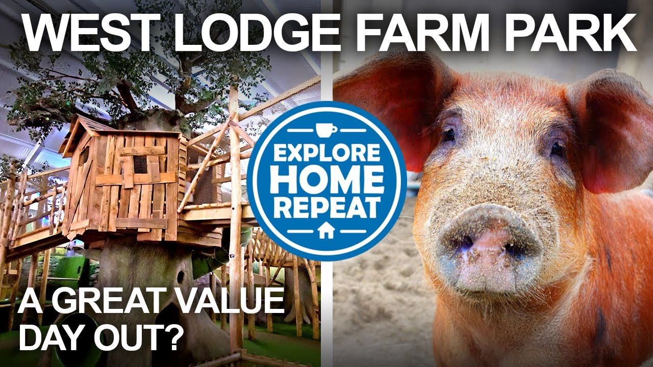 Обзор West Lodge Farm Park | Стоит ли тратить деньги на отдых с семьей?