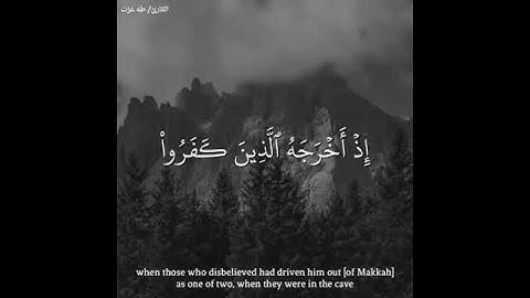 تلاوة خاشعة . مقاطع قران قصيرة