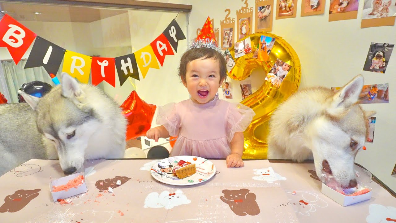 もんちゃんです！ My daughter, who grew up with a Siberian Husky, celebrated her