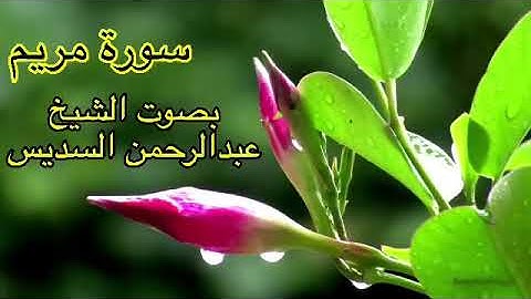 سورة مريم كاملة بدون اعلانات بصوت الشيخ عبدالرحمن السديس
