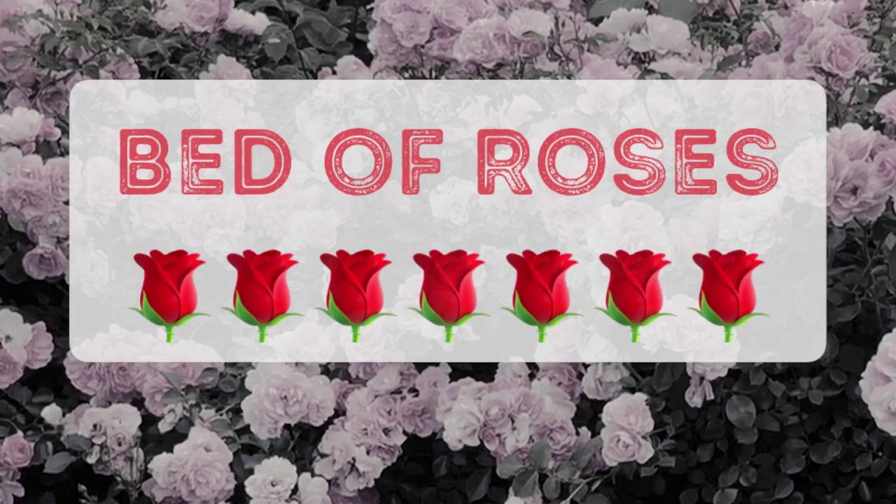 Rise rose risen как переводится. A Bed of Roses. Bed of Roses idiom. Not a Bed of Roses. Bed of Roses оттенок.