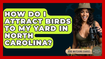 How Do I Attract Birds To My Yard In North Carolina? - Bird Watching Diaries