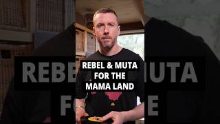 Reggae 45s you can't find on the big music platforms pt 15 🔈 Tony Rebel & Mutabaruka - Mama Land