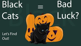 Are Black Cats Bad Luck? Here's What Science Says