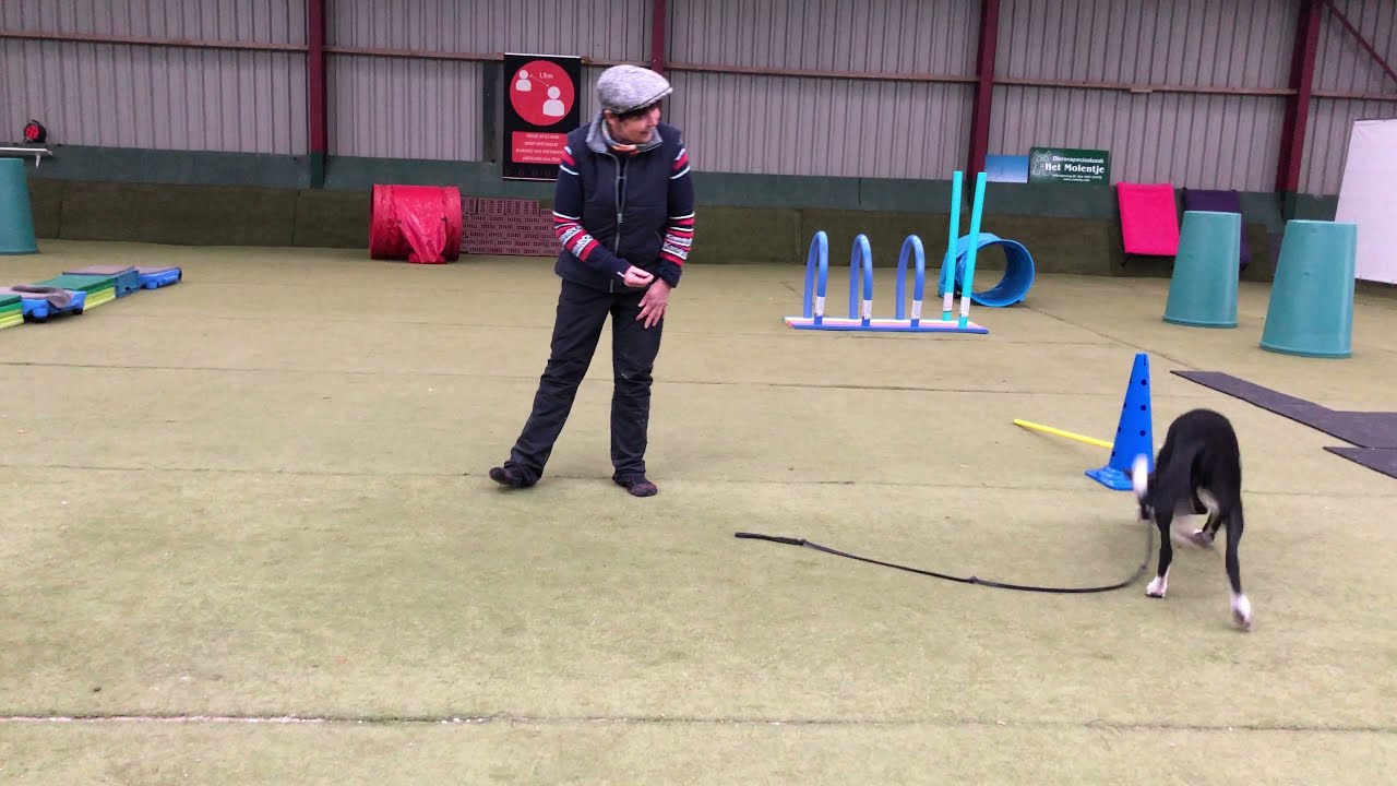 48  Hoe leer je jouw hond de 'voorlangse wissel' aan?