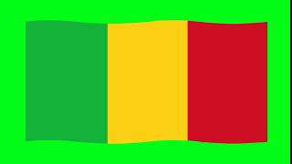 Green Screen Flag of Mali | Green Screen Mali Waving Flag | Green Screen Mali Animation Flag screenshot 1