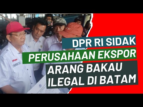 EKSLUSIF!! PROSES DPR RI TUTUP 11 LOKASI PENAMPUNGAN ARANG BAKAU ILEGAL DI BATAM