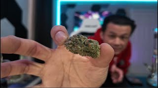 An 8th a day - 018 - Sin Mint Cookies