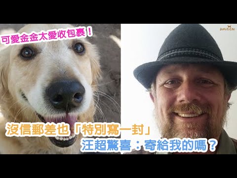 可愛金金太愛收包裹！　沒信郵差也「特別寫一封」汪超驚喜：寄給我的嗎？