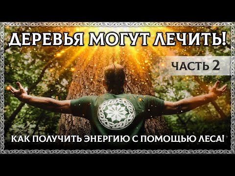 ДЕРЕВЬЯ — ИСТОЧНИК СИЛЫ! 🙏  ЧАСТЬ 2. Дерево РОДа, связь с космосом через дерево! (древо, веды)