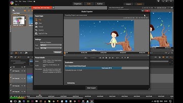 Import and Export in Pinnacle studio ultimate 20
